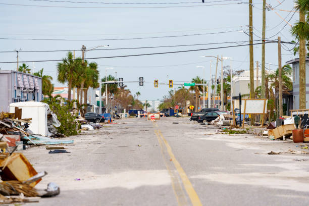 Handle Storm Damage Claims