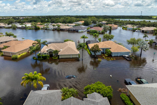 Handle Storm Damage Claims