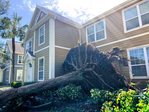 Top Mistakes Sarasota Homeowners Make When Filing Hurricane Damage Claims — and How to Avoid Them